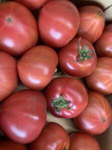 バイケミ農法トマト